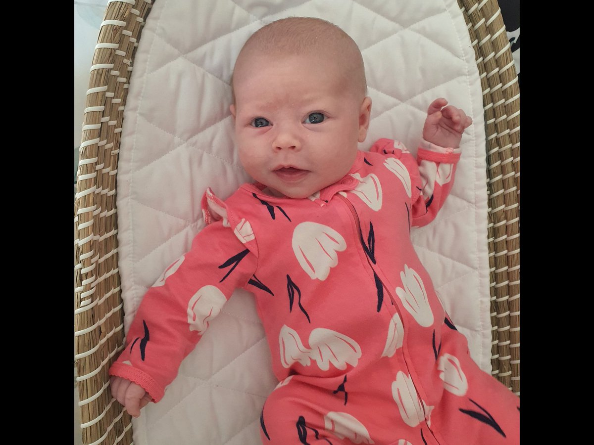 preciousando8's tweet photo. The happiest wee soul. Who is so content. She slept 10.30pm until 5.30am what a little dream boat u are! We adore you Everly https://t.co/Nx2CqgdhYR
