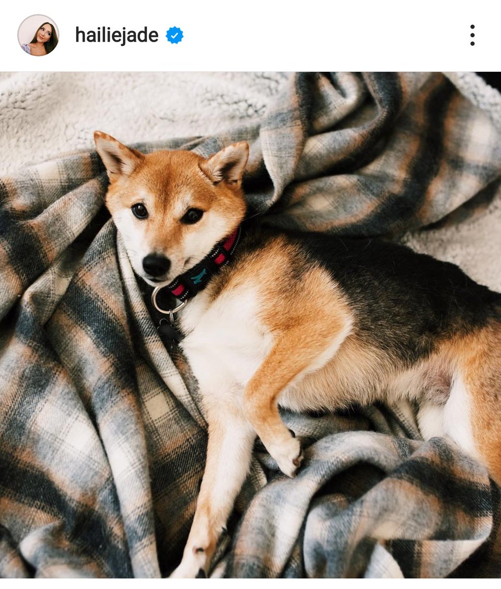 「エミネムの娘のヘイリーさん、柴犬飼ってるんだ～。ウルフって名前みたい 」|mochiko姉の憂鬱のイラスト