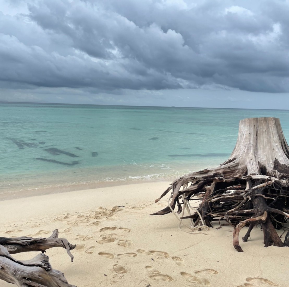 RandomAsia's tweet photo. If you want to see paradise, go to Bamboo Island✈️👙🌊🍹🌴👙 3 days 2 nights only 1,746 Baht
More details: https://t.co/sOwvkk9axk
#randomtravelasia #Thailand #krabi #mangrove #kayak #beach #vacation #relax #กระบี่ #ทะเล #bambooisland https://t.co/A5iH7xCna8