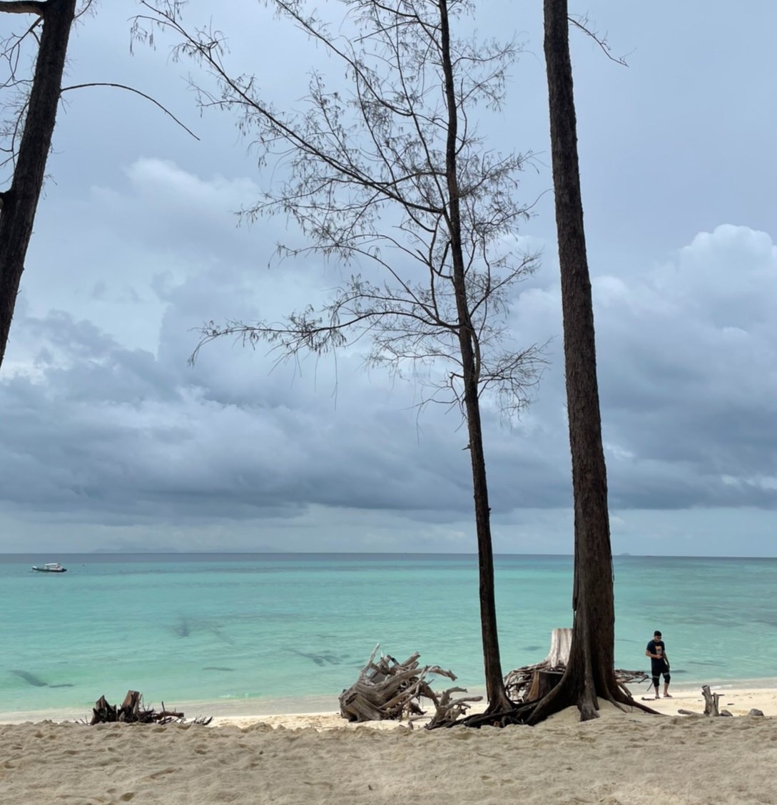 RandomAsia's tweet photo. If you want to see paradise, go to Bamboo Island✈️👙🌊🍹🌴👙 3 days 2 nights only 1,746 Baht
More details: https://t.co/sOwvkk9axk
#randomtravelasia #Thailand #krabi #mangrove #kayak #beach #vacation #relax #กระบี่ #ทะเล #bambooisland https://t.co/A5iH7xCna8