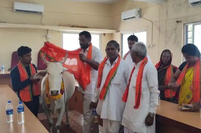 Shaad_Bajpe's tweet photo. #Bagalkot: BJP members sprinkled Cow urine after performing 'Gau Pooja' at Hunagunda Municipality hall in Bagalkot district. The reason was that the Municipality President Parvez Khazi started his second term of office with Quran recitation. https://t.co/lnRt6os7Pk