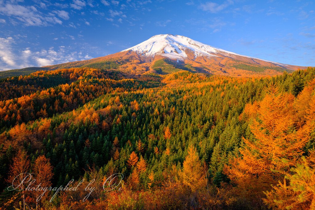 黄葉する富士山…