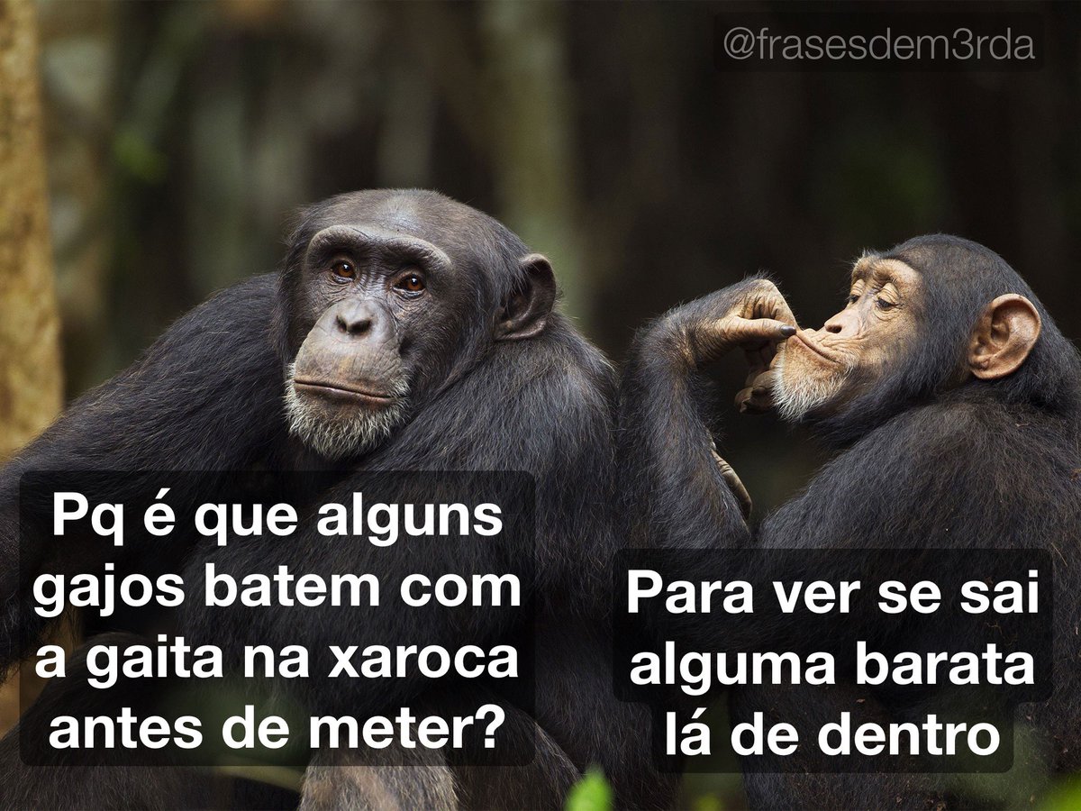 frases de m3rda (@frasesdem3rda) on Twitter photo 