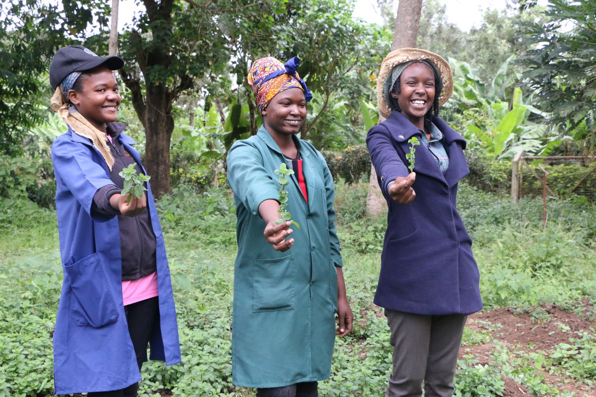 TanzaniaViable's tweet photo. We love Agriculture and we are ready to build a better tomorrow through agriculture
@SuluhuSamia 
@RugalemaGabriel 
@HusseinBashe 
@MNjumali 
@tilda_matty 
@elicelekasio 
@EdgarRenatha https://t.co/vdUQmHZ36J
