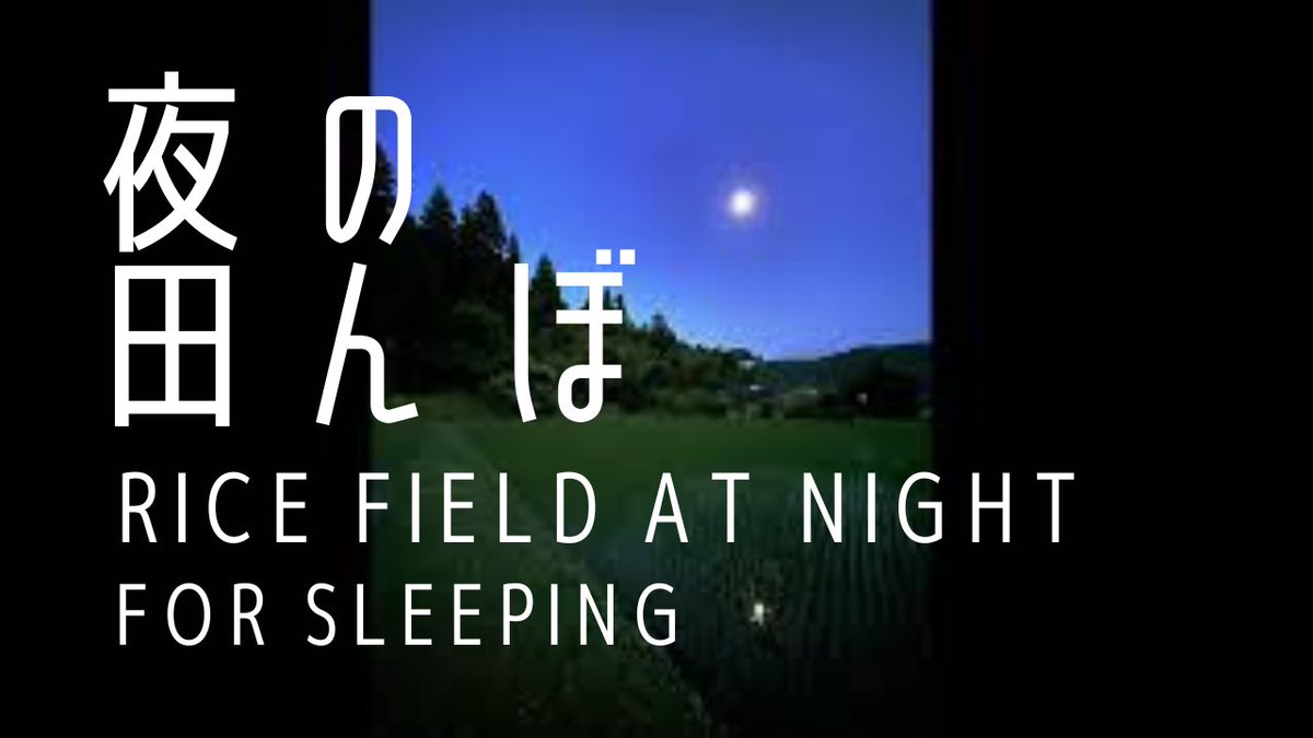 ambiencesound_'s tweet photo. 【夜の田んぼ】30分の動画を明日8/26(金)18:00より公開致します。静かな夜に響く虫の音や��エルに癒やされます🐸
【Rice field at night】the new content published on YouTube.
URL
https://t.co/tyvyN2ilFT
#夜の田んぼ
#虫の音
#insects
#ricefield
#ambiencesound
#環境音チャンネル
#チル https://t.co/OMvOX4JLjl