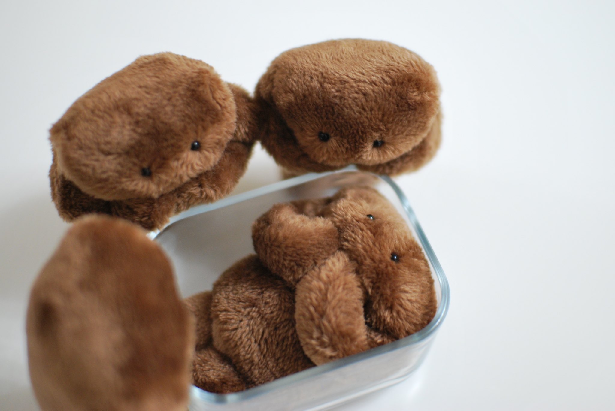 空想アパートメント はちみせ 83 豆粒ぐらいのぬいぐるみ カネヒラ