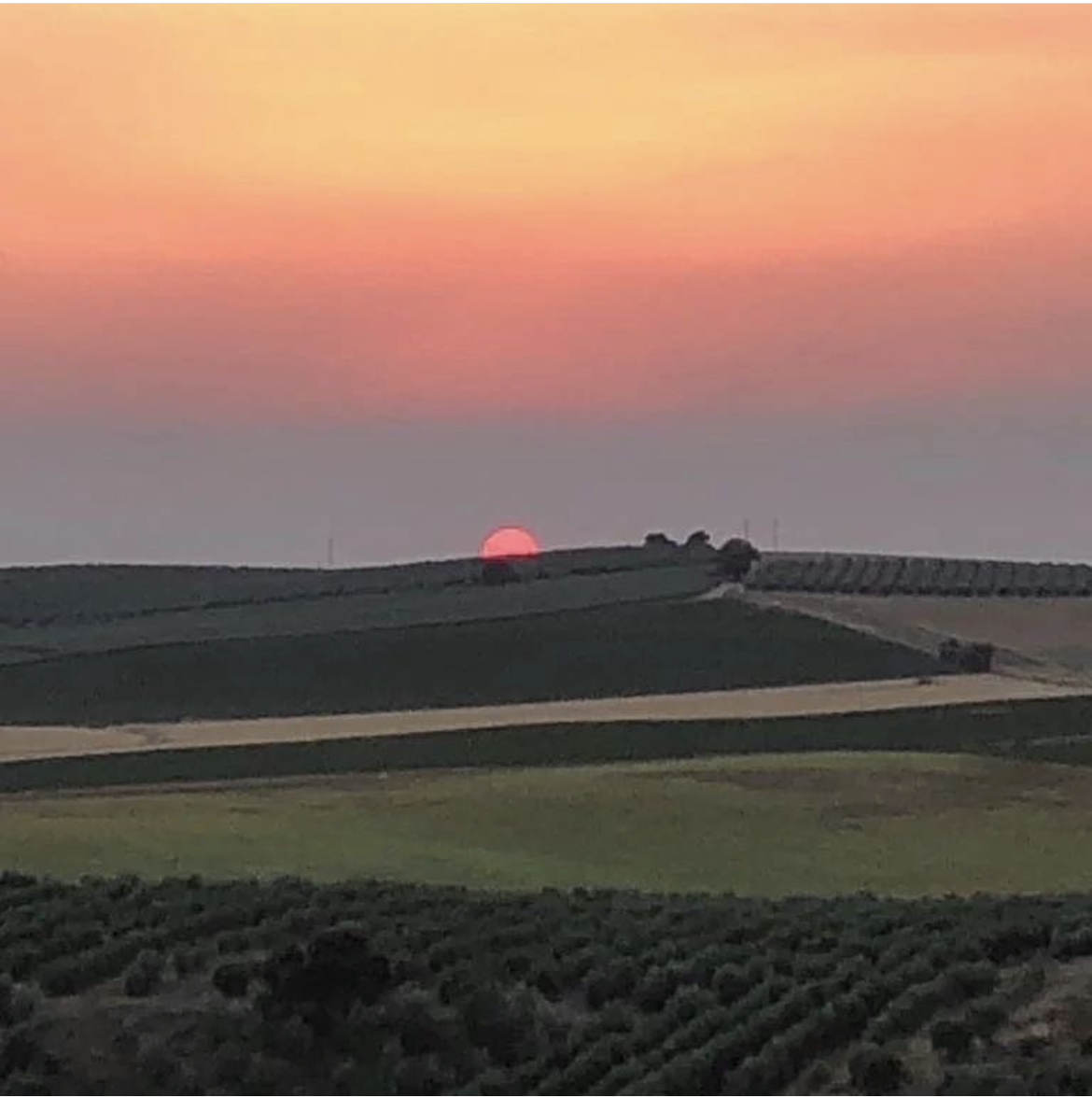 VisitPteGenil's tweet photo. Los huéspedes de Cortijo San José en #PuertoAlegre disfrutan de #atardeceresmágicos como este.
#BuenasNoches #PuenteGenil 
#FelizDescanso 💗#DondeElSolSeHaceDulce https://t.co/HZ42POwKMJ