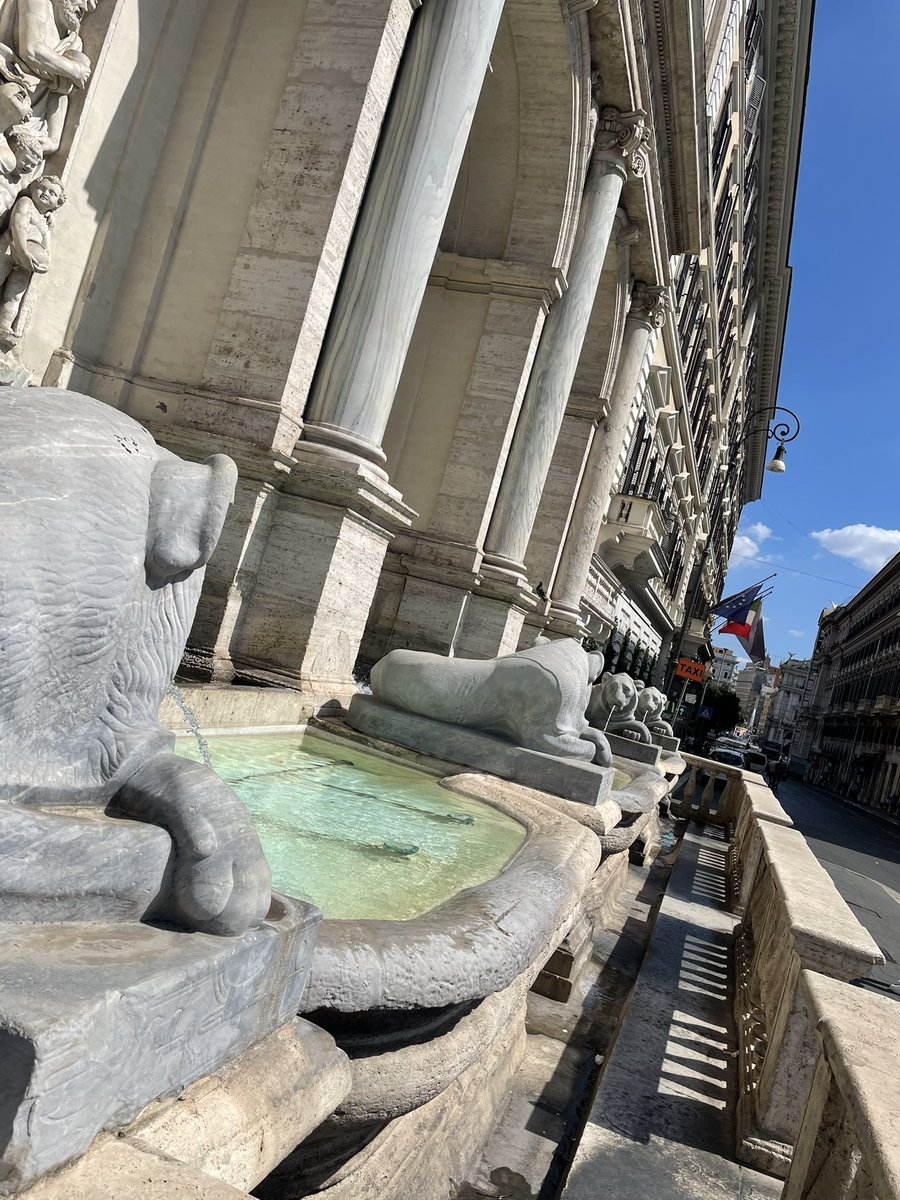 ComEroe's tweet photo. Luce negli occhi ☀️ 
     #Roma ♥️ https://t.co/NjlkMy5Atg