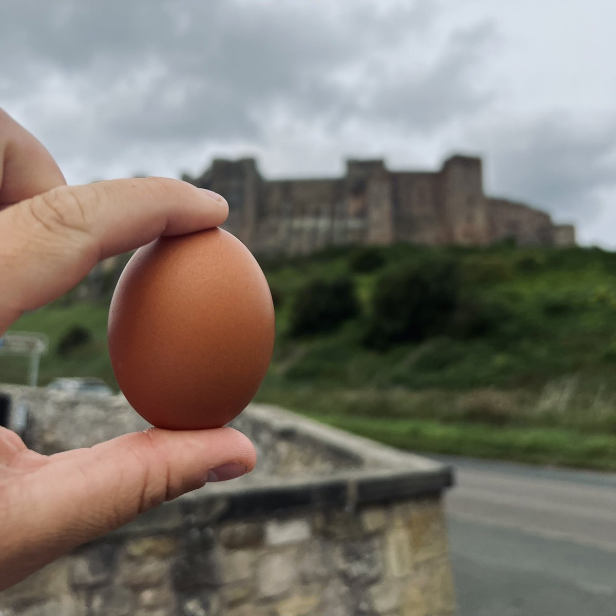 Chippindale Foods (@expertsineggs) on Twitter photo Tom and Evie from our Agri team have been out and about doing producer visits… can you guess where? #organiceggs #BEIC #lioncode #eggs Tom and Evie from our Agri team have been out and about doing producer visits… can you guess where? #organiceggs #BEIC #lioncode #eggs