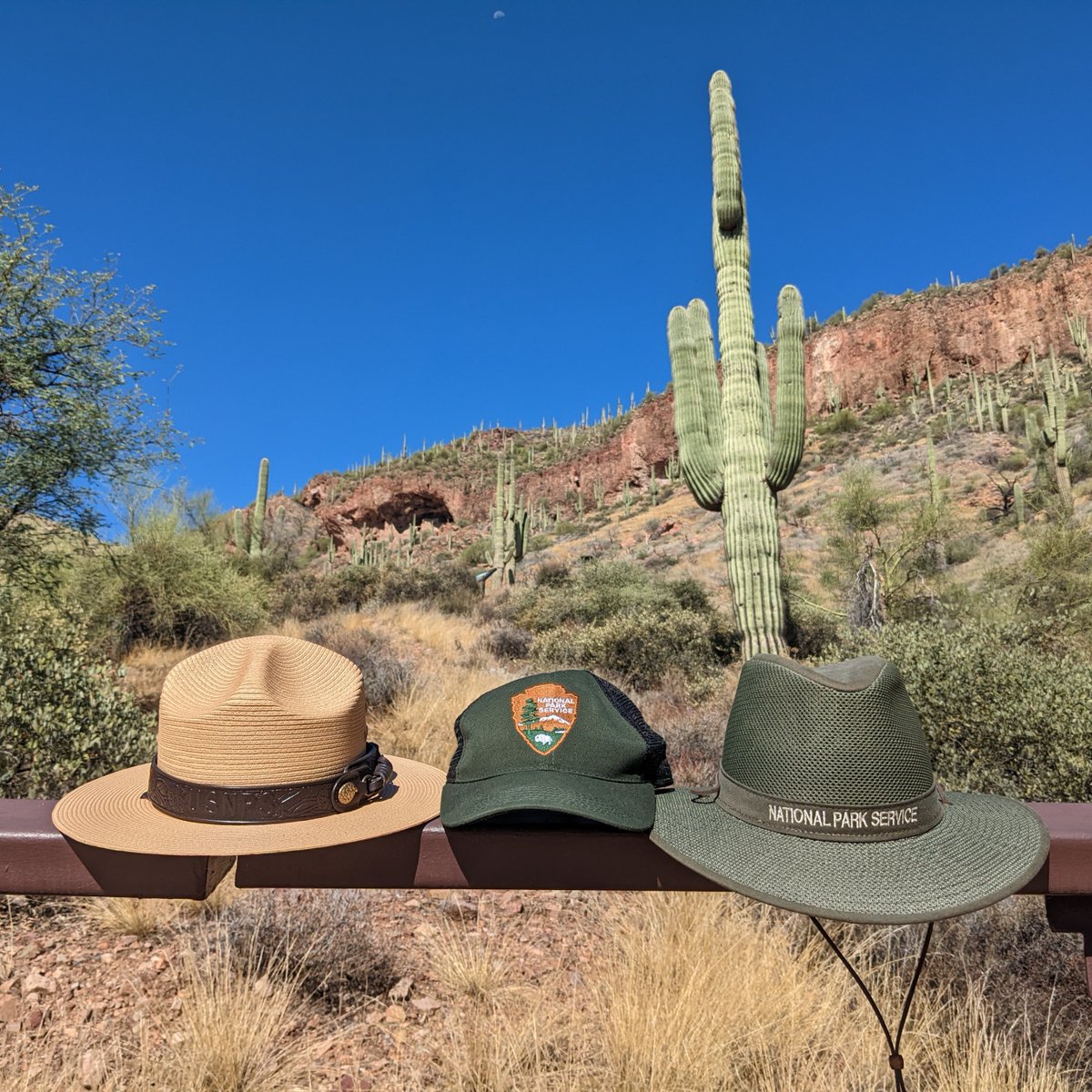 Tonto NPS tweet media