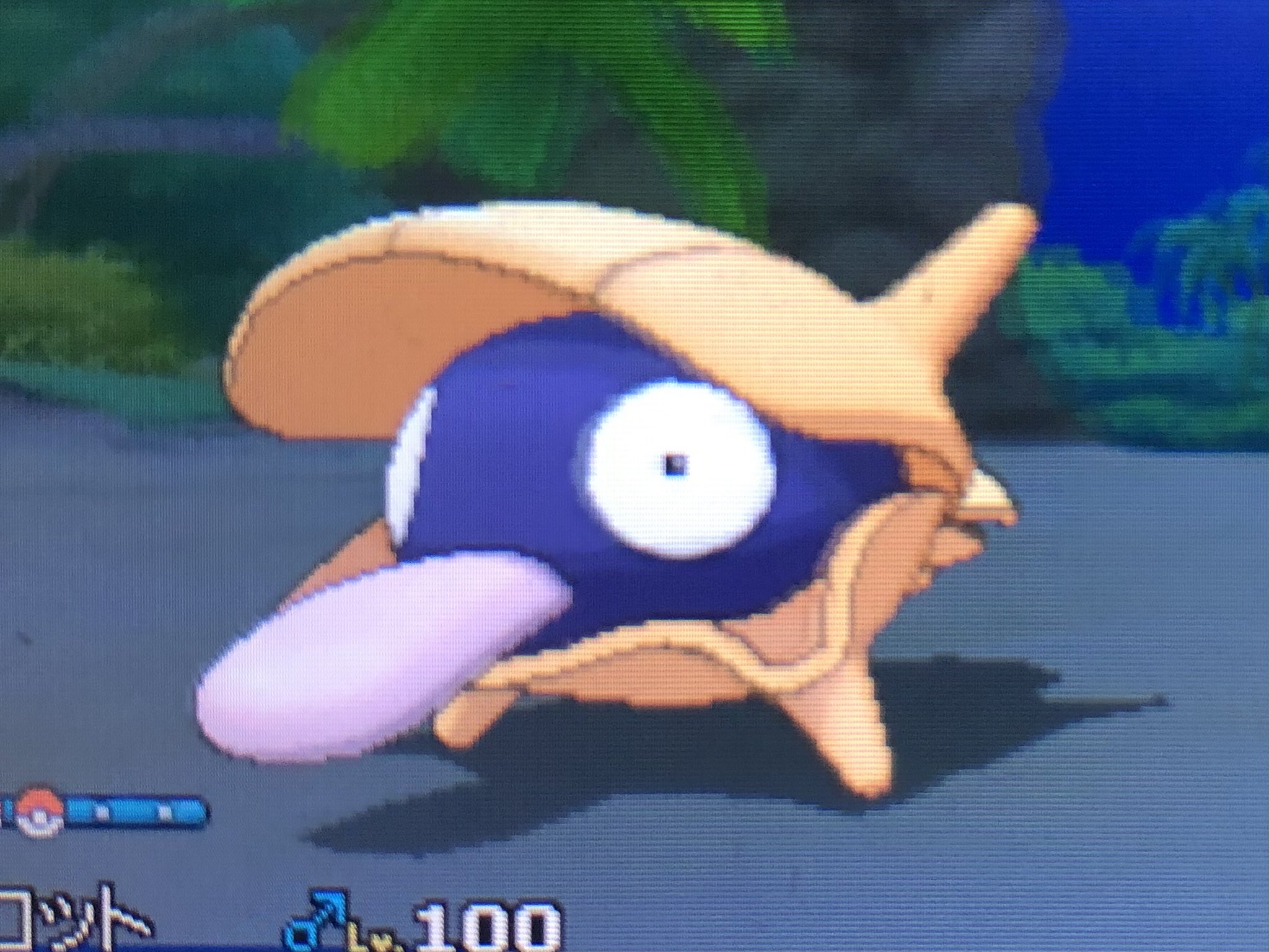 Usum Twitter Search Twitter