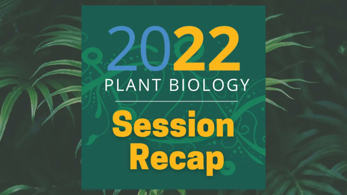 Plant Physiology on Twitter "RT ASPB Plant Physiology Assistant