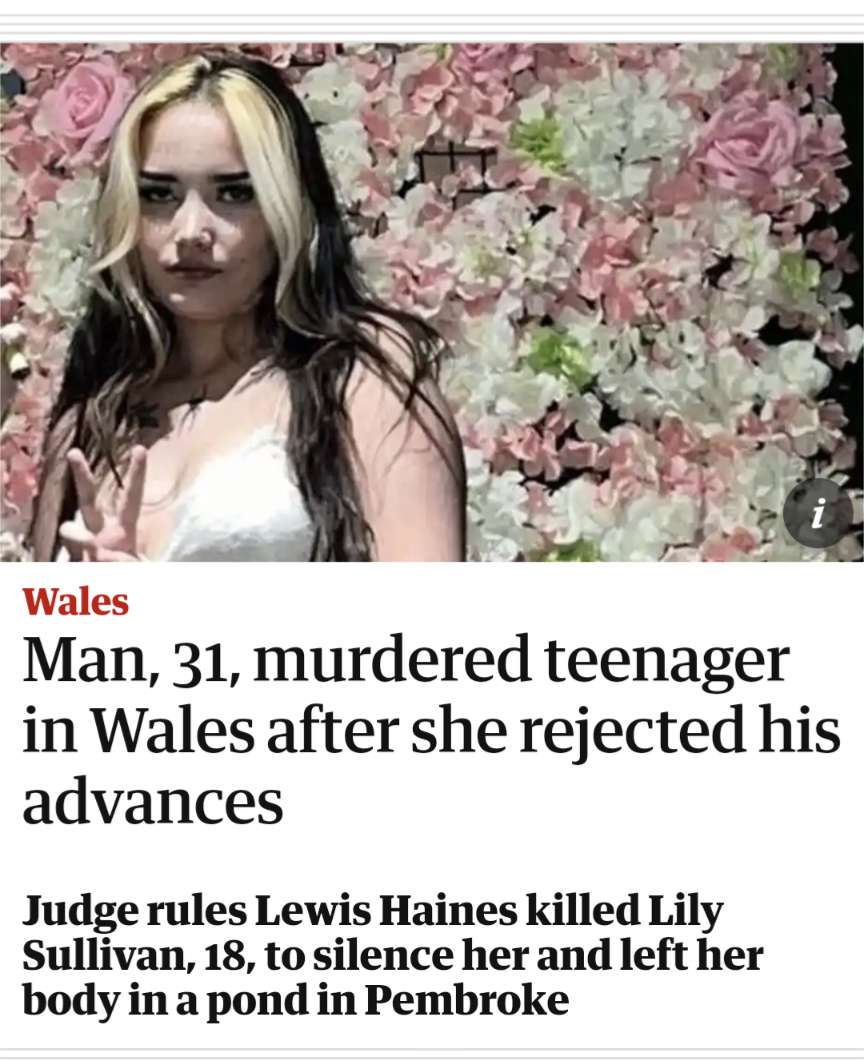 "Men are afraid that women will laugh at them. Women are afraid that men will kill them"

-Margaret Atwood.

Her name was Lily Sullivan, she was only 18. She was murdered by a 31 year old man because she wouldn't have sex with him.