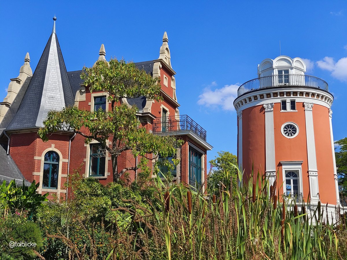 Botanischer Garten geht selbst bei der Hitze. Dort findet man immer irgendwo ein schattiges Plätzchen. Einer der schönsten Orte im Tal. 💚🚟
#Wuppertal #BotanischerGarten #Orangerie #Elisenturm #Botanik