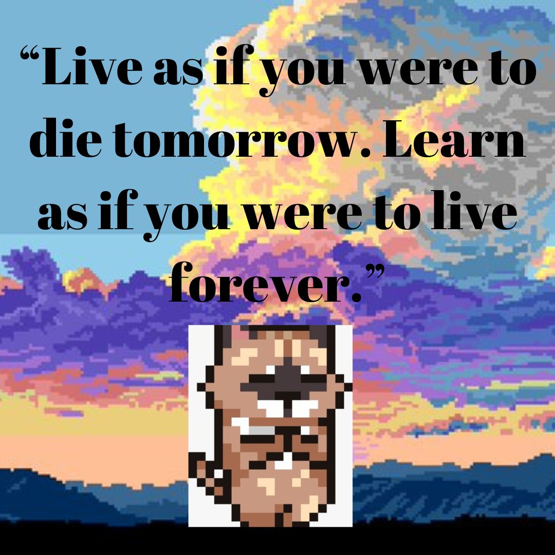 Live as if you were to die tomorrow.Learn as if you were to live forever.
<a href="/Yogapetz/">Yogapetz</a> <a href="/keung/">Keungz</a> <a href="/AmberMetaNFT/">Amber</a>
#YGPZ
#petzquote
#petquotesoftheday
