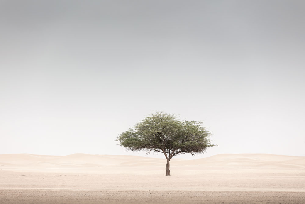 kozubooks's tweet photo. 'SAND' By Anthony Lamb

Available here: https://t.co/gi46sxAI1P

Or here as part of our Two Book offer: https://t.co/HizUAHSdZb

We will be posting a selection of images from 'SAND' below over the coming weeks.

#photobook https://t.co/V1iq50oC0c