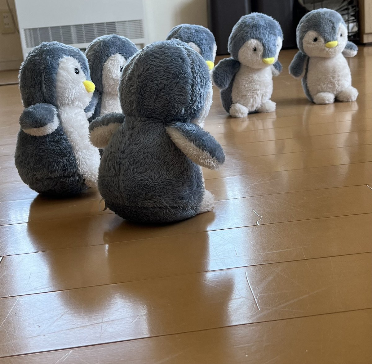 ペンギンBrothers on Twitter: