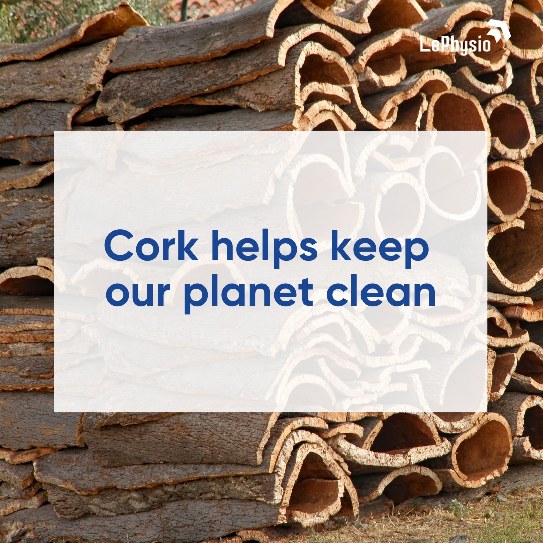LePhysiohealth's tweet image. Did you realize that cork contributes to environmental #sustainability in such wonderful ways? 

An excellent approach to preserving nature by use of #cork, as it keeps our #planetclean!

#SaveSoil #Reuse #Recycle