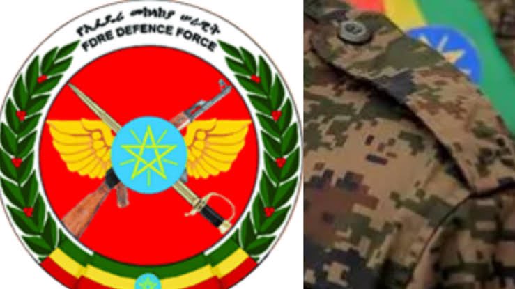 ⚠️URGENT:To all fellow #Amhara activists &amp;friends of #Amhara, as fascist TPLF restarted #WarOnAmhara, it is time again to set aside our political differences, stand together &amp;speak in unison to be a voice to the voiceless #AmharaUnderAttack in coordinated #AmharaGenocide campaign