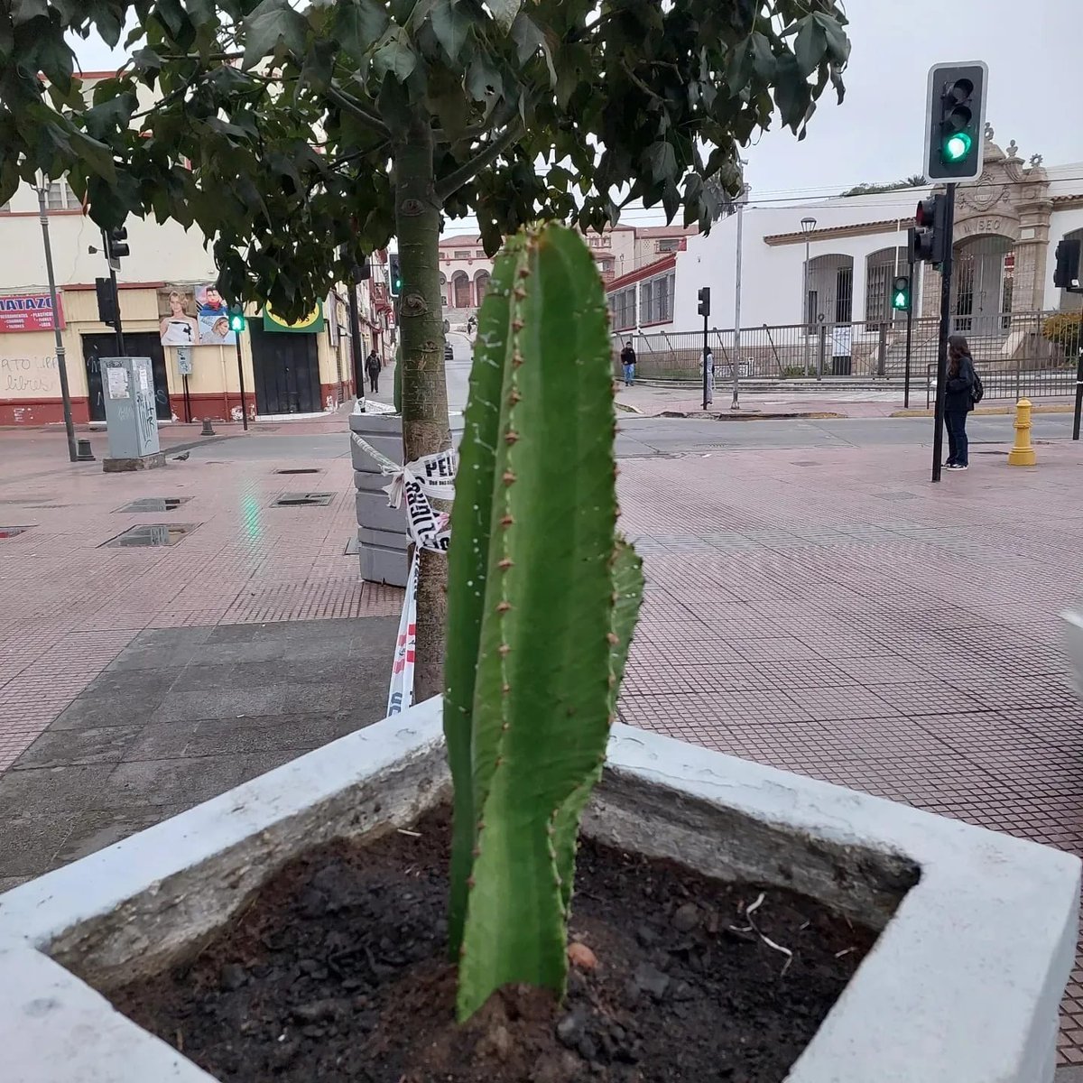 LATroncoso10's tweet photo. La Serena tranquila, caminable, segura @munilaserena https://t.co/YRyN9JH0kE