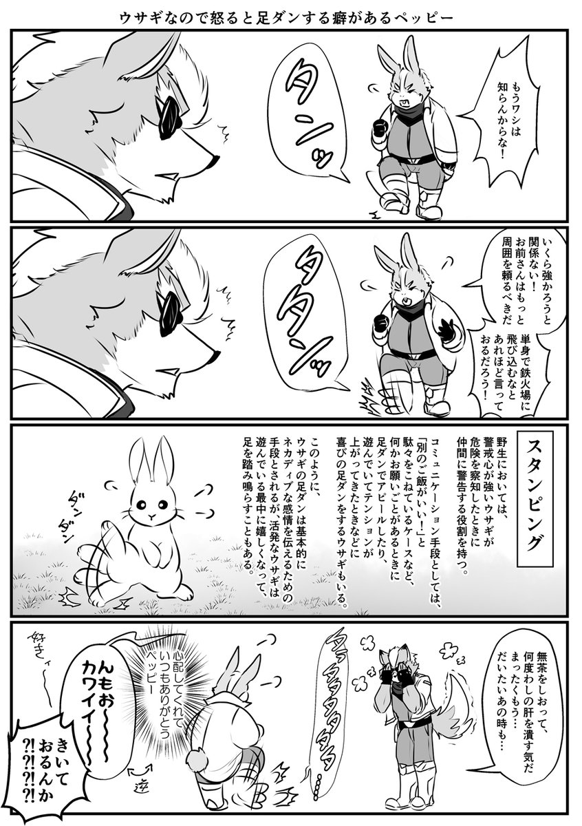 足ダンペッピー 