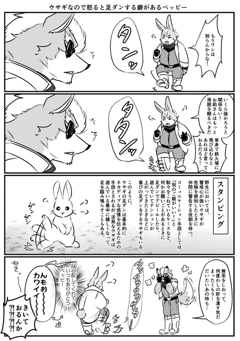 足ダンペッピー 