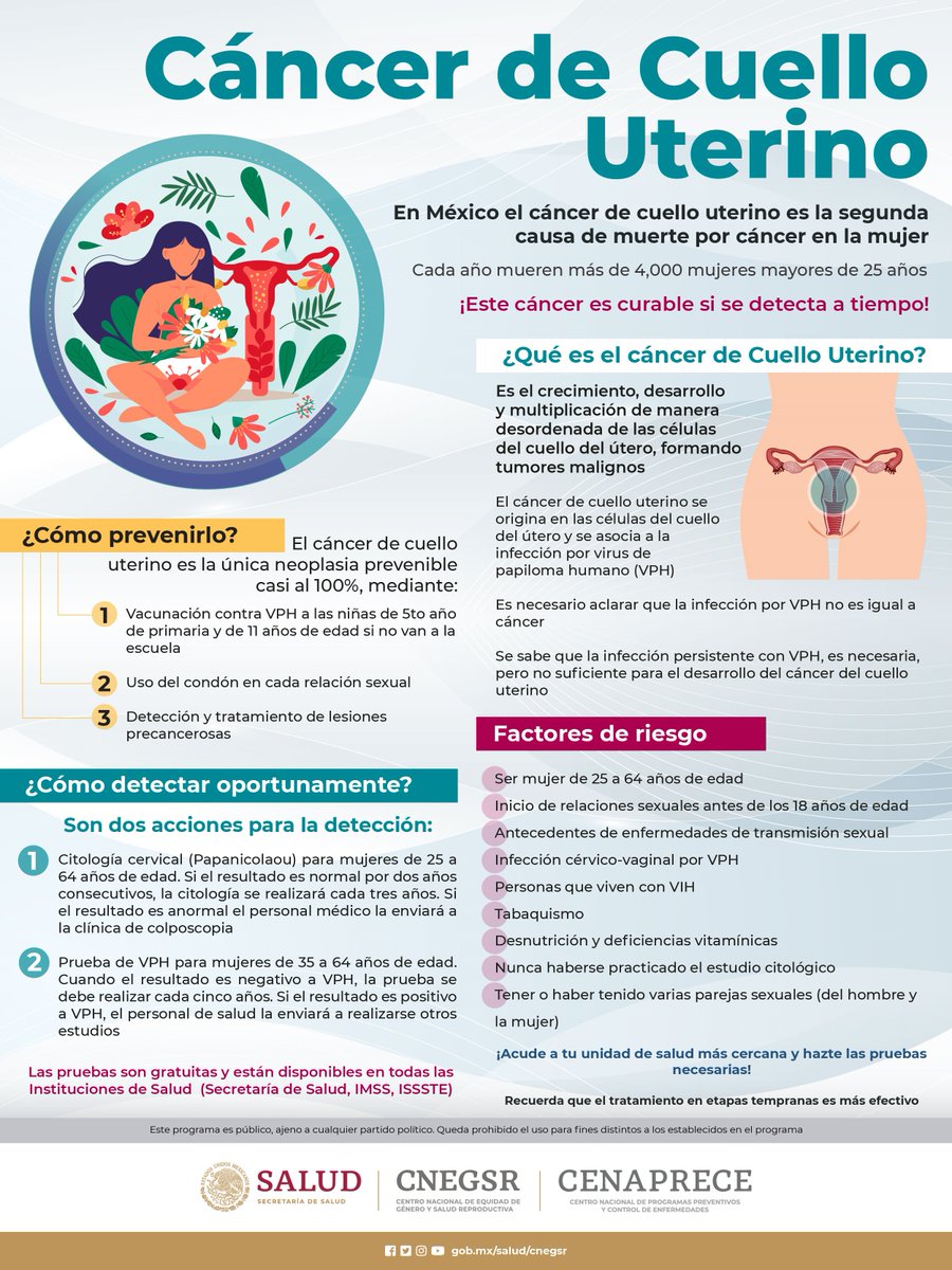 CNEGSSR's tweet photo. El cáncer de cuello uterino, es una enfermedad que afecta la salud y amenaza la vida de las mujeres en México.
Este tipo de cáncer es prevenible y curable si se detecta a tiempo.
Conoce más 📲https://t.co/W8n1XjPaHQ
#DetecciónOportunaVPH
#CáncerCuelloUterinoEsPrevenible https://t.co/2DkgDIxeMH