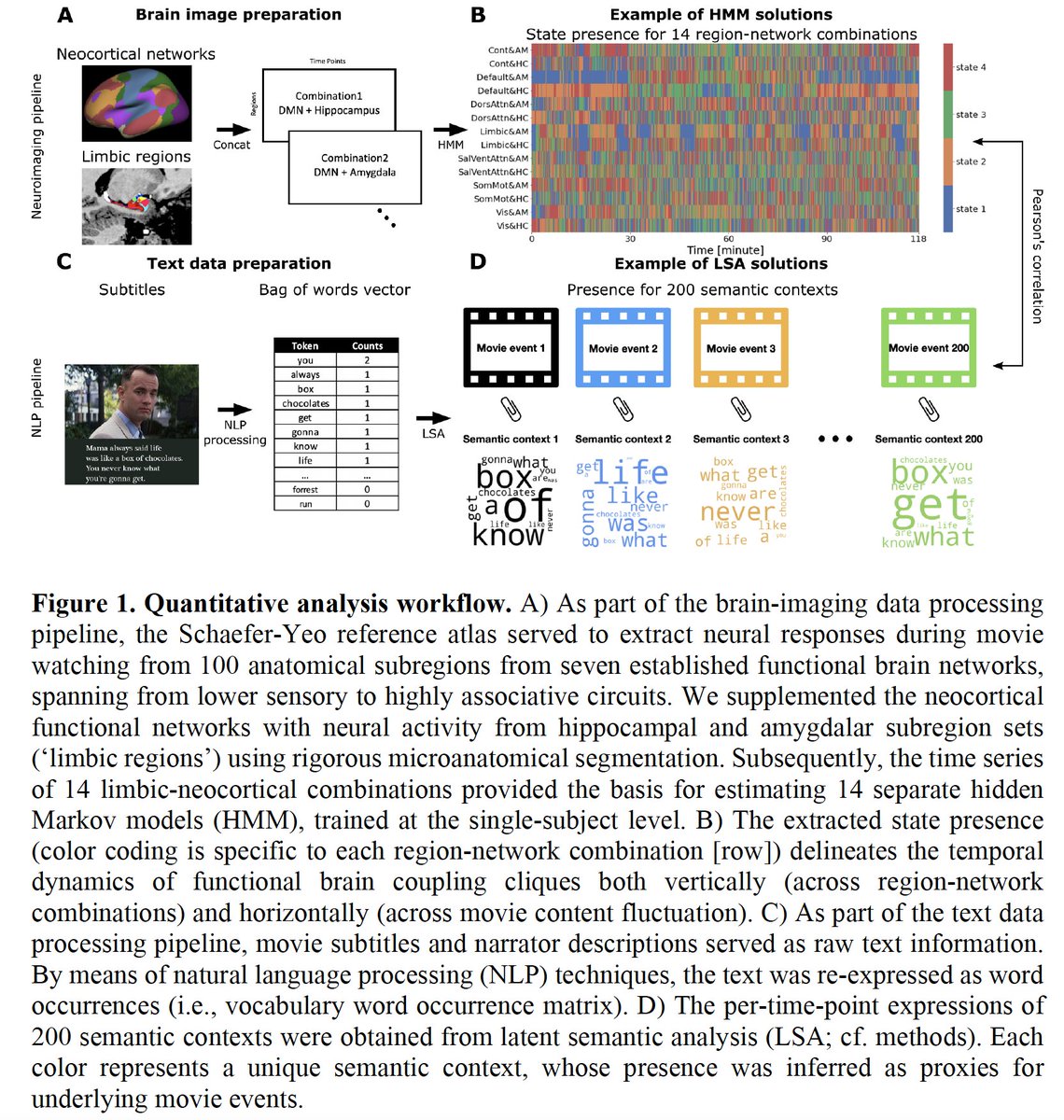 danilobzdok's tweet image. Fresh preprint out!

Enning combines #NLP algorithm and #naturalistic #movie watching. &amp;gt;53,000 time points.

Core insight: The default network dominates neural responses to evolving movie stories

biorxiv.org/content/10.110…

@Mila_Quebec @McGillBME @mcgillu @yaledailynews @dartmouth