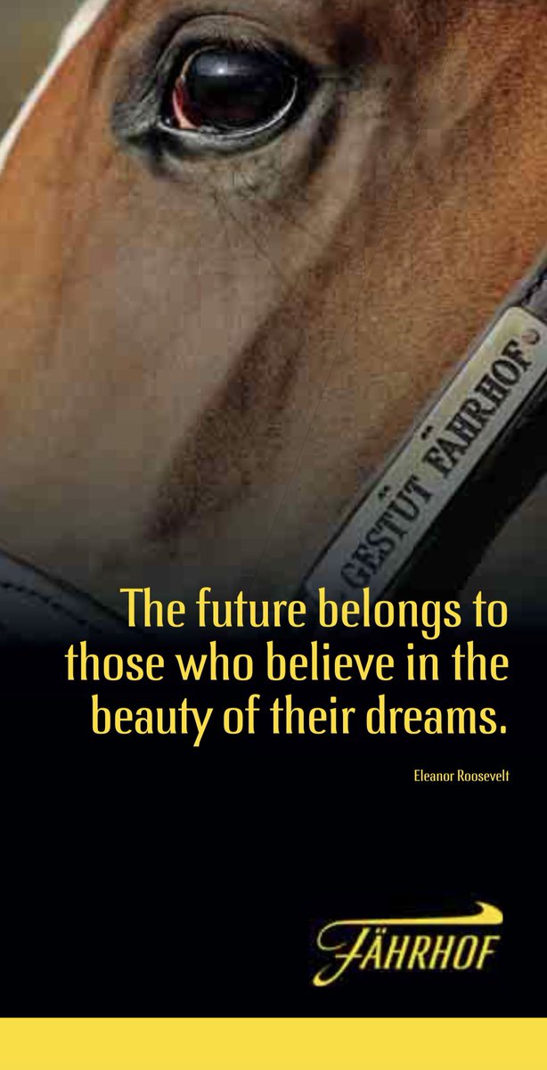 BBAG_Sales's tweet photo. @BBAG_Sales Yearling Sale 2022
@GestutFahrhof
#CatalogAdvertising https://t.co/GVIjrfezXF