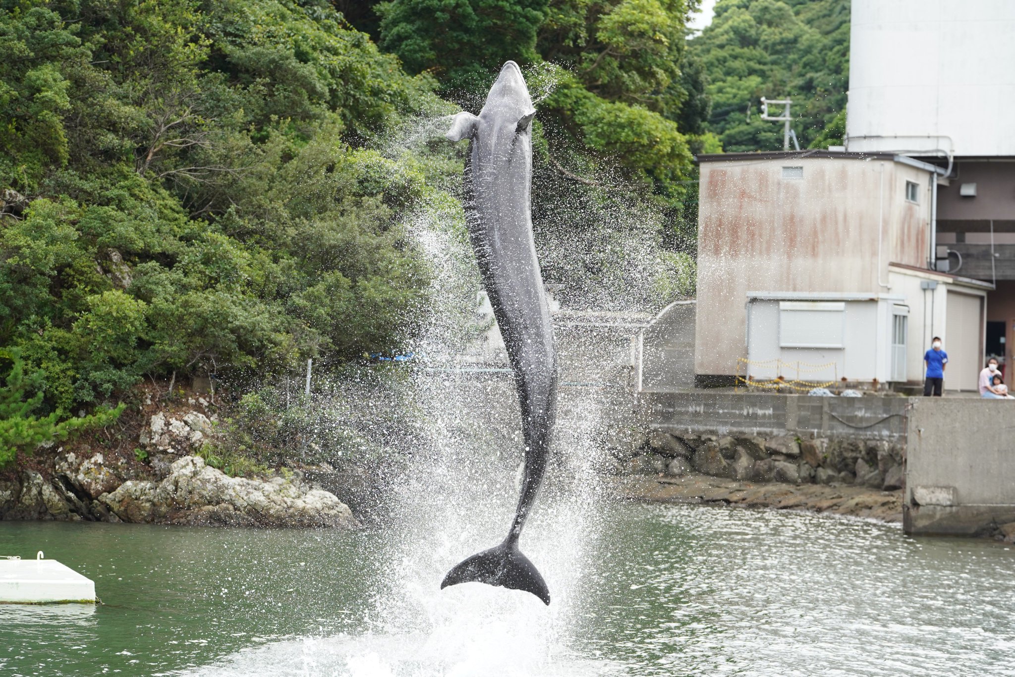 りりなすーん on Twitter