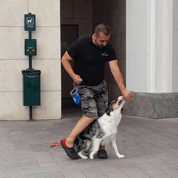 dogtrainer_burc's tweet photo. 2- AVM kalabalığına uyumun yanı sıra birkaç bildik numara sergileme deneyimini de yaşadık.

#köpekeğitmeni #köpekeğitimi #evindeköpekeğitimi #yatılıköpekeğitimi #burçbakan #burcbakanofficial https://t.co/KqT890YFx2