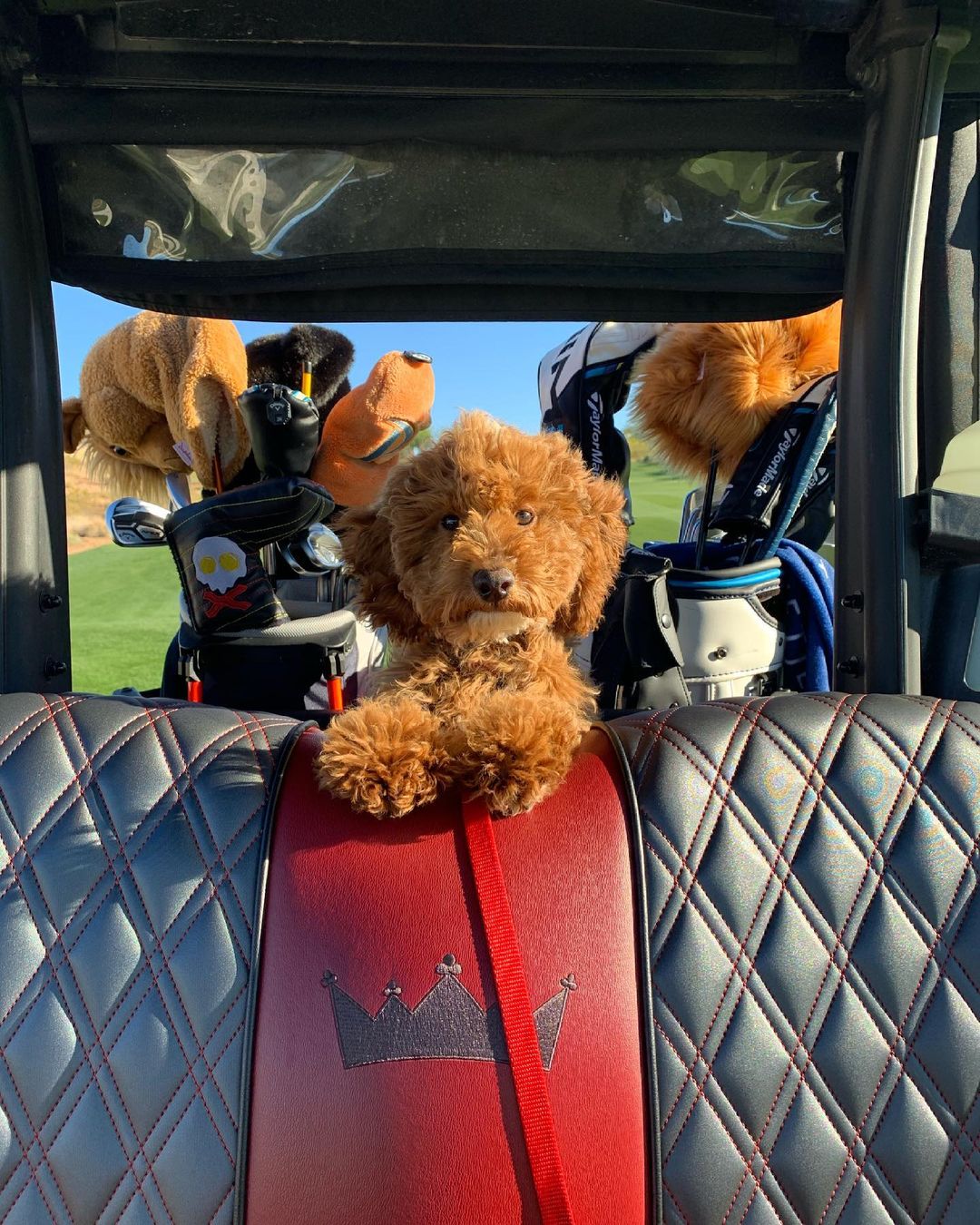 Caddy Shack Golf Durham (caddyshackdham) / Twitter