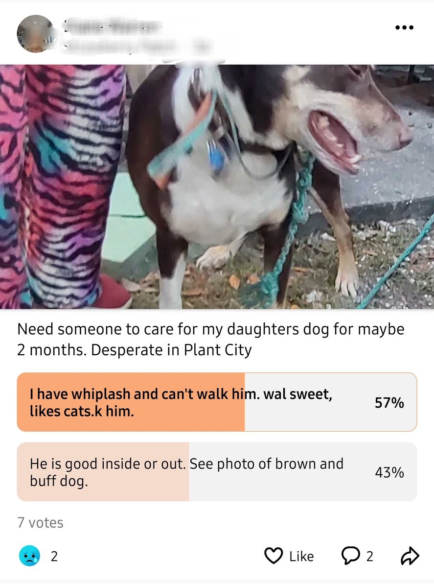 cort_2000's tweet photo. @bestofnextdoor wal sweet, likes cats k him https://t.co/6xi9Ob1aCD