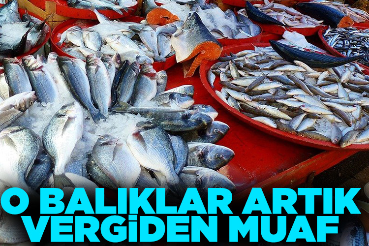 bursadabugun's tweet photo. O balıklar artık vergiden muaf
#resmigazete #hammade #suürünü #vergi
Haberi oku---> https://t.co/SBJDtUfjpA https://t.co/hZdSobYuZn