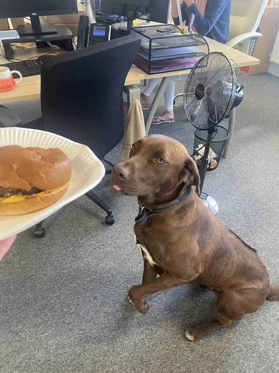 International Burger Day...don't mind if we do!! 🍔

Even the Great British weather didn't stop us from getting the BBQ started! 🌧️

Huge thank you to Charlie’s Butchers for the burgers and to Debbie for cooking the yummy burgers!  👌

#InternationalBurgerDay #TrustedCareTeam