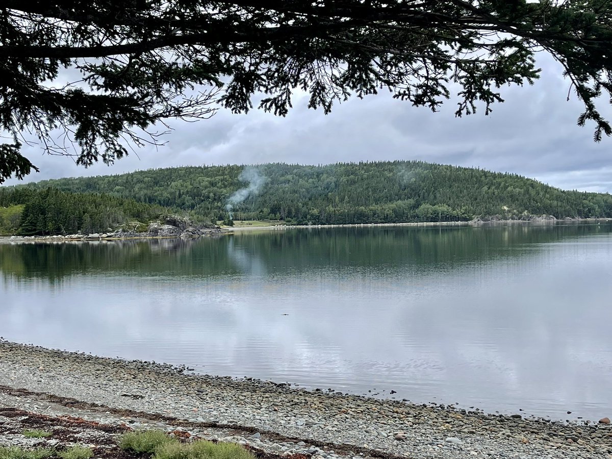 rodrideout1's tweet photo. Early morning @ Seaview RV Park Loon Bay, NL https://t.co/ZfLgCAntHD