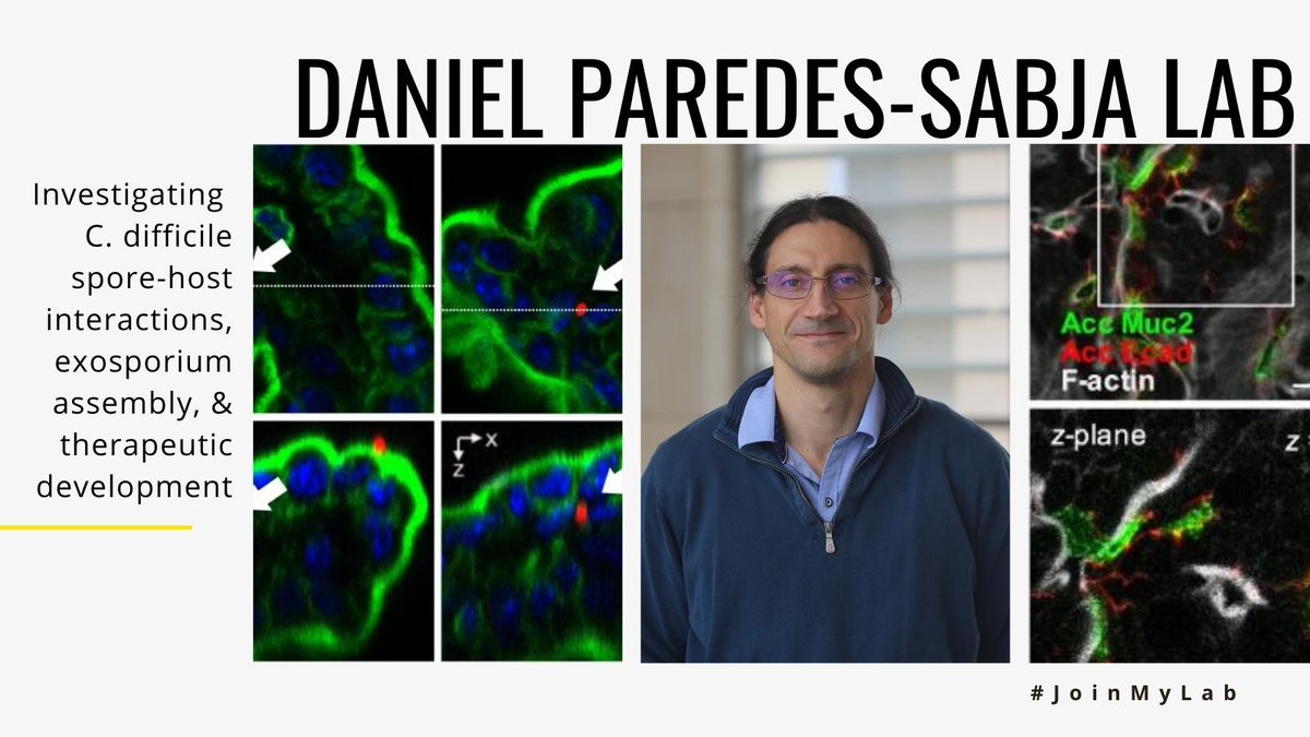 TAMU_Biology's tweet photo. The Daniel Paredes-Sabja lab wants you to #JoinMyLab! The Paredes-Sabja lab investigates C. difficile spore-host interactions, exosporium assembly, & therapeutic development. Want to learn more? https://t.co/Y0NZVjmVFk https://t.co/4CPVpfdIgj