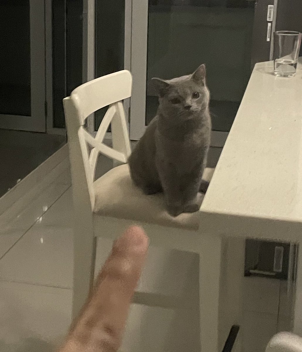 tattyhassan's tweet photo. Kena marah sebab tolak semua benda atas meja jatuh bawah. https://t.co/iHiukCWcUX