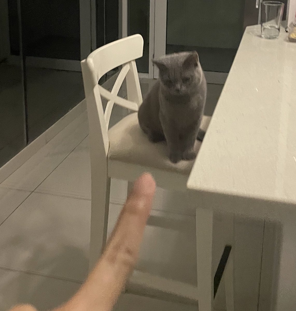 tattyhassan's tweet photo. Kena marah sebab tolak semua benda atas meja jatuh bawah. https://t.co/iHiukCWcUX