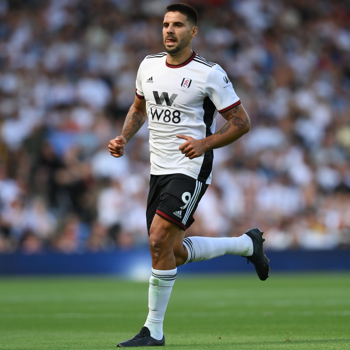 premierleague's tweet photo. 1️⃣st - Total shots
1️⃣st - Headed shots
1️⃣st - Aerial duels won 
2️⃣nd - Touches in opposition box

@FulhamFC’s Aleksandar Mitrovic is ranking as one of the most threatening forwards so far this season 💥

@adrianjclarke | https://t.co/mtFQC14Obz https://t.co/Fen1lOitjc