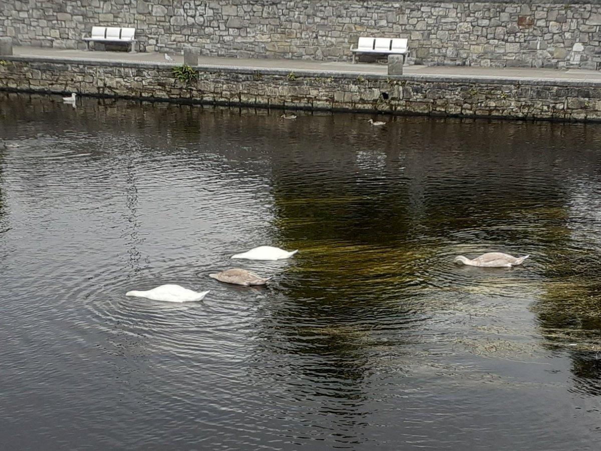 A local family enjoying a quiet lunch. #Sligo