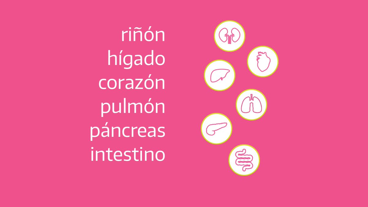 incucaioficial's tweet photo. 🏥 La donación depende de las características del fallecimiento. 
Una persona puede donar órganos si fallece en la terapia intensiva de un hospital, ya que allí existen los medios para la preservación de los órganos que pueden ser trasplantados 🩺 https://t.co/XP5aVZtHC4