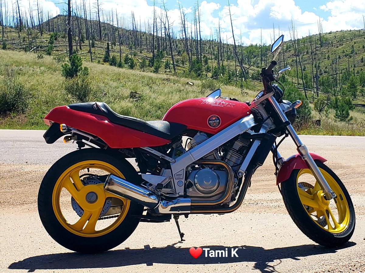 Johntcalloway's tweet photo. Beautiful day to you all from Colorful Colorado with love π
#beautiful #blueskies and #sunshine in the #HaymanFire burn scar area of the #RockyMountains with #Scarlett looking pretty π
#Colorado #NaturePhotography https://t.co/5NrXhiBba6