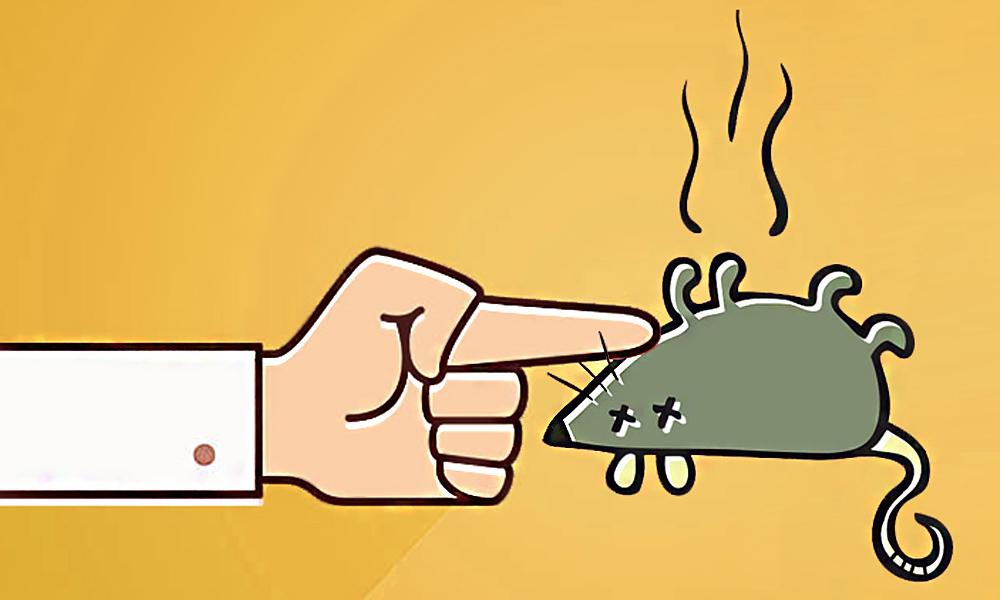 A fun and silly (if perhaps revolting) story about absolutely nothing... with the power to change just about everything. "Poke the mouse." #power #choicesmatter #dosomethingdifferent