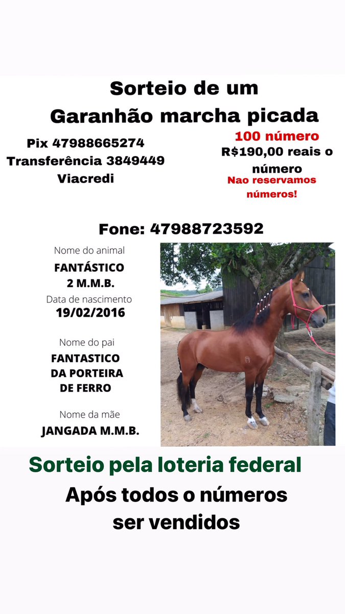 sandrinhogabrie's tweet photo. Sorteio de um lindo garanhão marcha picada.
Garanta seu número a sorte tá aí .
Compartilhe para ajudar https://t.co/51lLy3z6KS