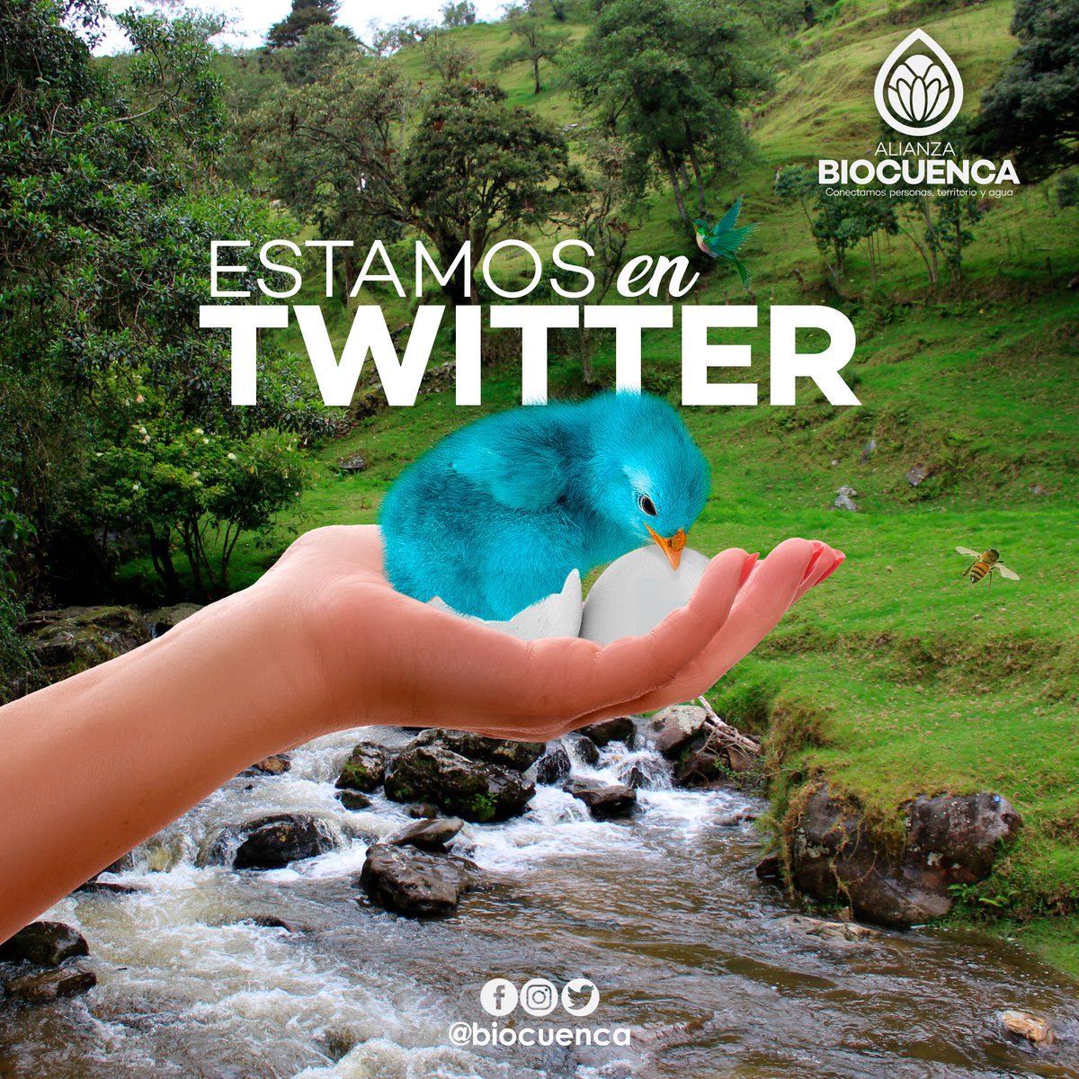 Biocuenca tweet media