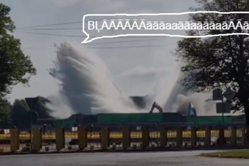 meanwhile zivis dīķī: