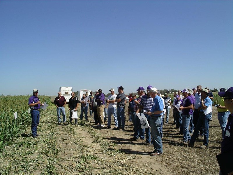 KStateAgRsch's tweet photo. We hope you made it to the @WKREC field day in Garden City today!!! Check out the research at https://t.co/5MoZzDs6Cv. Research = Hays, Garden City, Tribune, & Colby. #Corn, cropping/tillage, insect control, #irrigation, #weather, weed management, #wheat. @KStateRE @KStateAgron https://t.co/OQtdvT0bPW
