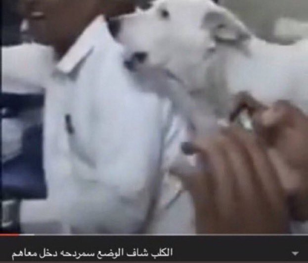 tw_60's tweet photo. @Nawaf_STATS https://t.co/ljwQGzqMb1