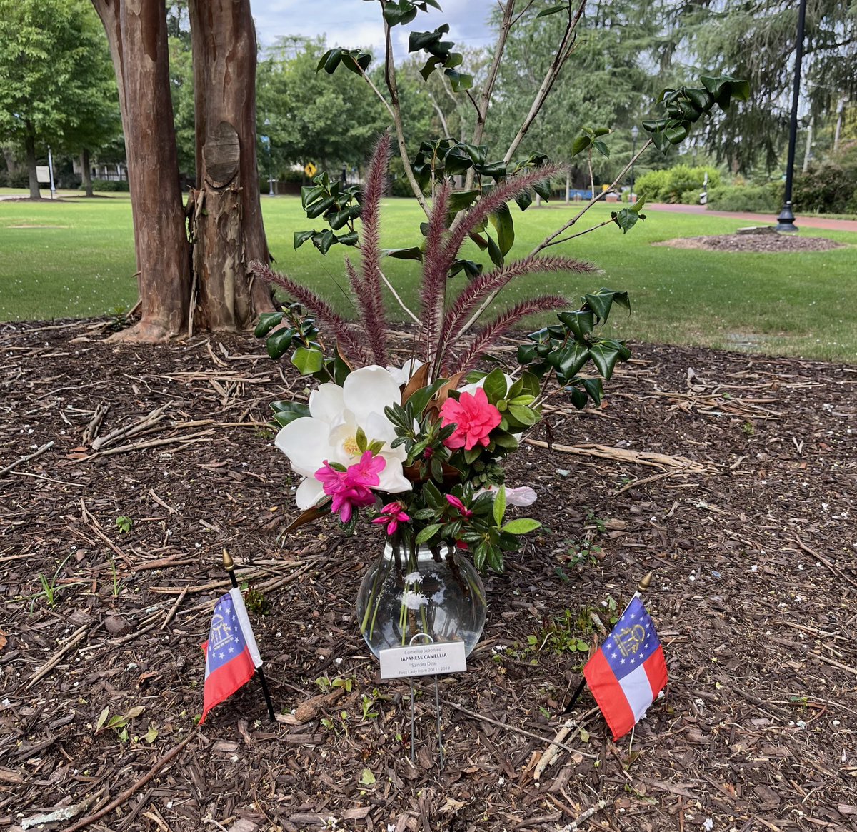 AUG_University's tweet photo. In memory of @GAFirstLadyDeal 💙
-
This special memorial on campus features the camellia plant that bears her name. https://t.co/vwdd01rLEg